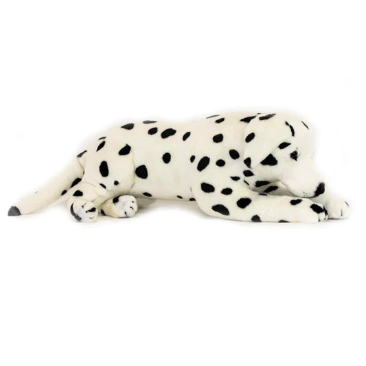 Dog Dalmatian Denzel