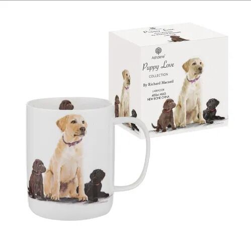 Ashdene Puppy Love Collection | Labrador