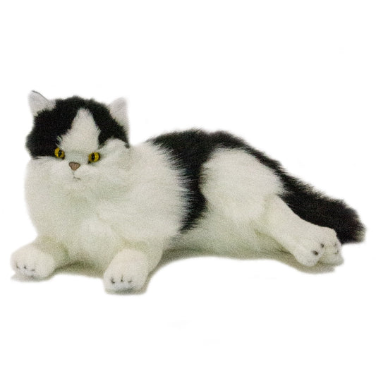 Cat | Black and White Piebald Woodrow