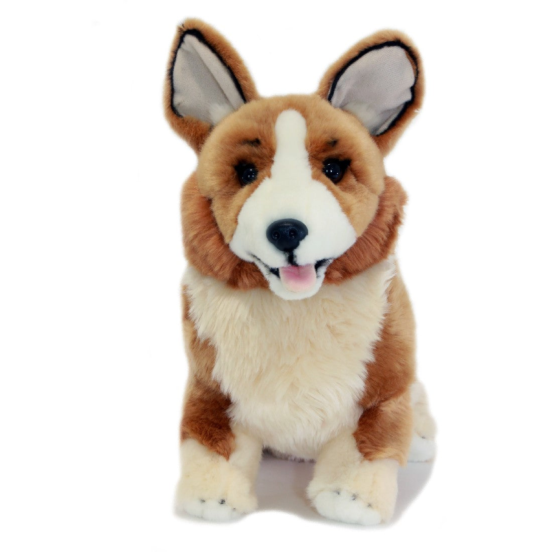 Dog Corgi Windsor