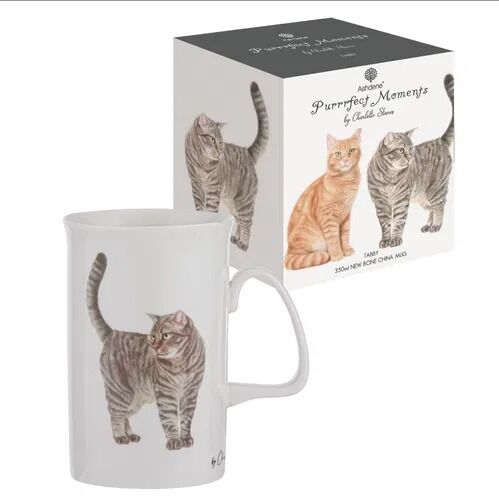 Ashdene Purrrfect Moments Mug | Tabby