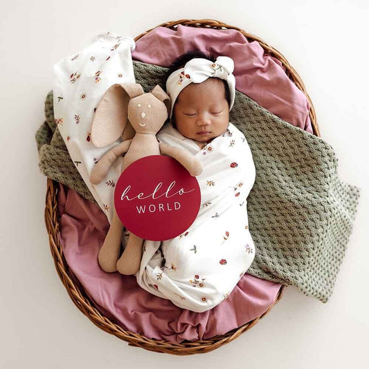 Snuggle Hunny Organic Jersey Wrap & Topknot Set | Ladybug