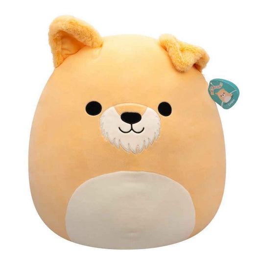 Squishmallows 20" Master | Cooper the Schnauzer