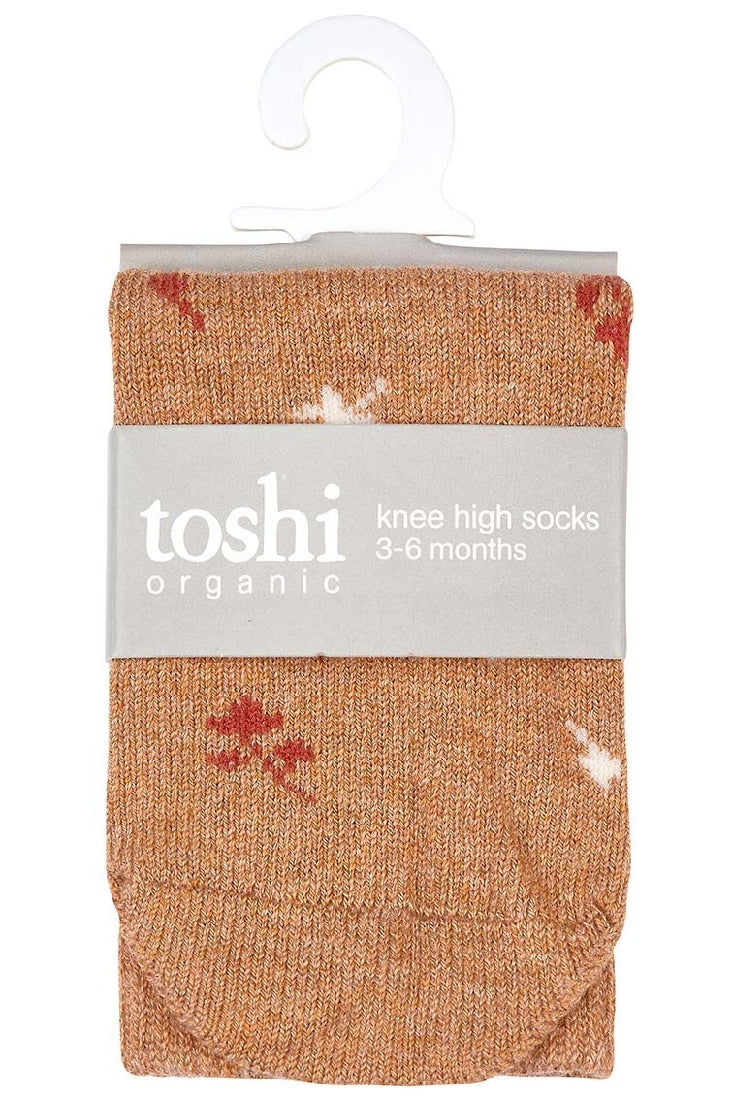 Toshi Organic Socks | Knee High Maple Leaves