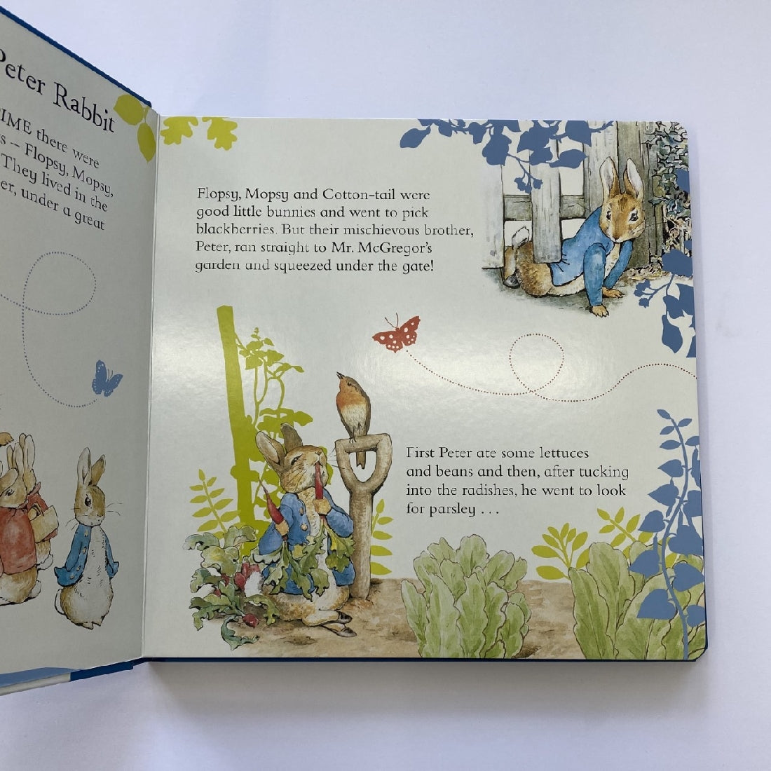 Peter Rabbit | Nursery Rhyme Time